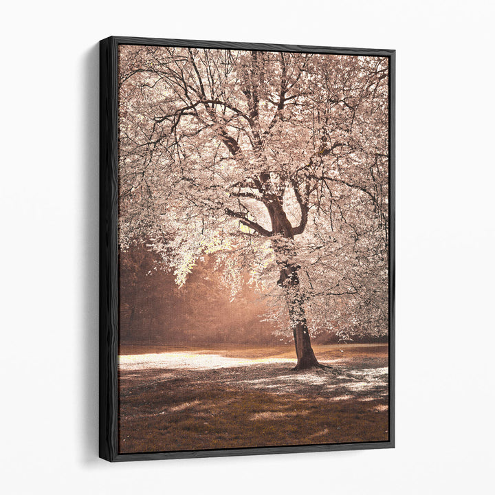 Nature photography prints featuring fall trees