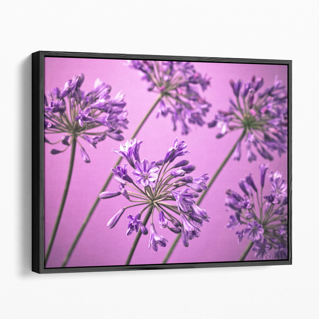 African Lilies 1 - Canvas Print Wall Art