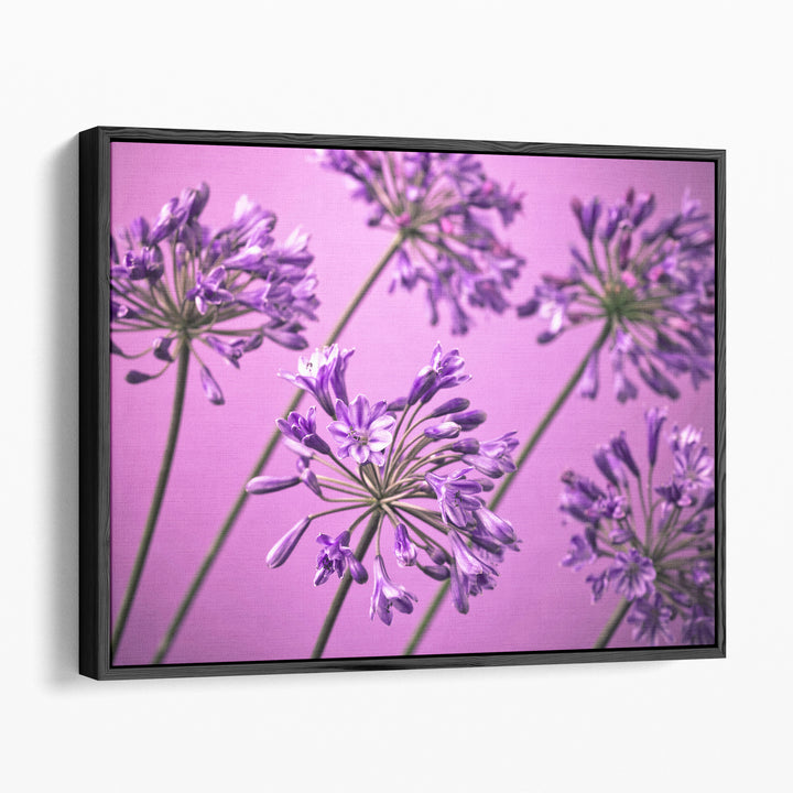 African Lilies 1 - Canvas Print Wall Art