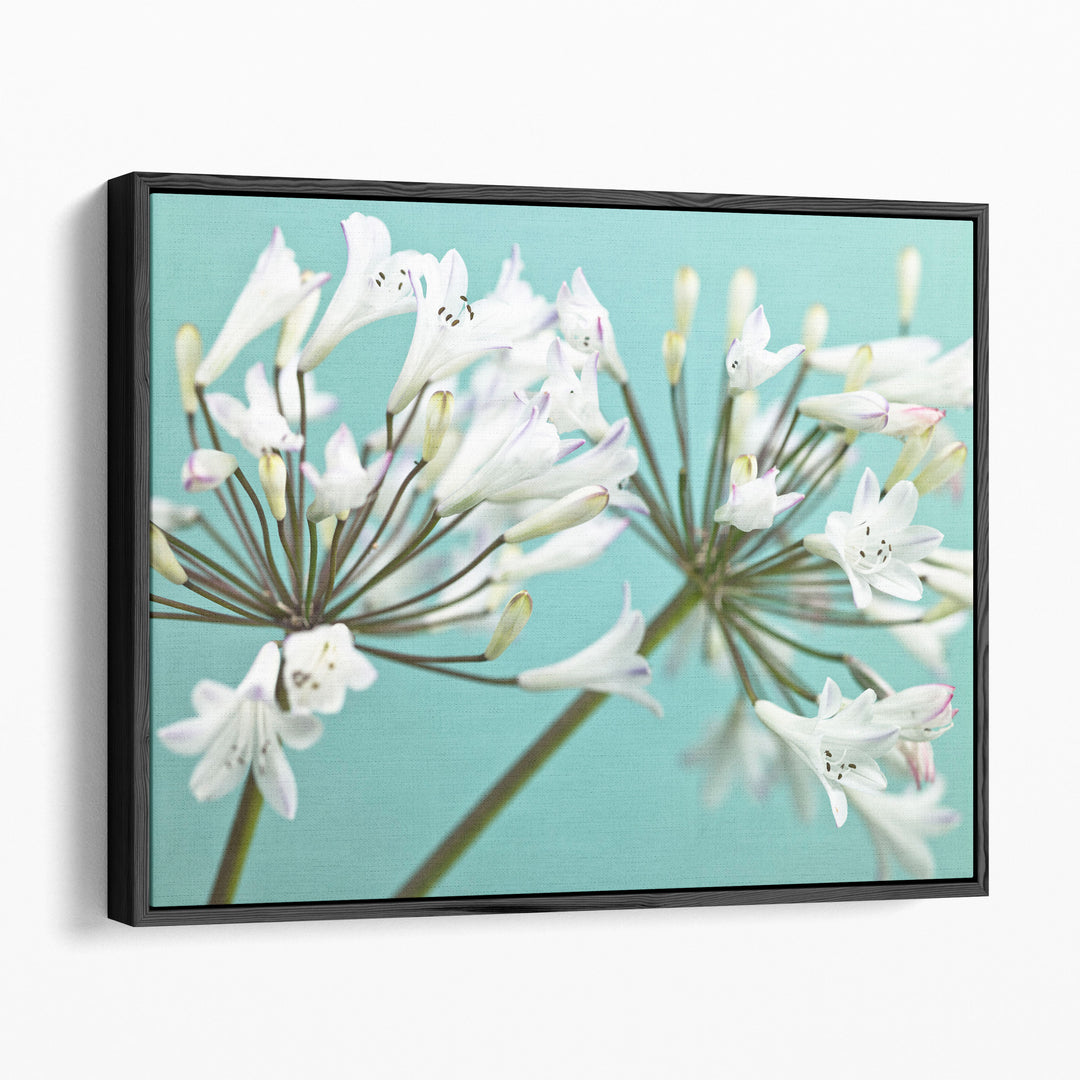 African Lily 2 - Canvas Print Wall Art