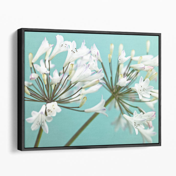 African Lily 2 - Canvas Print Wall Art
