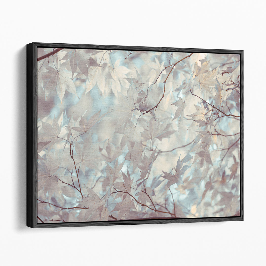 Autumn Coloured Leaves Backlit - Canvas Print Wall Art