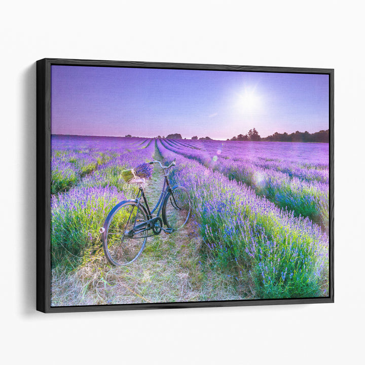 Floral photography print with rustic bicycle