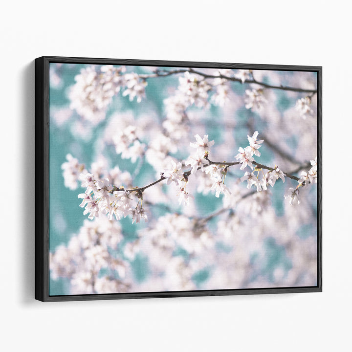 Blossom Flowers - Canvas Print Wall Art