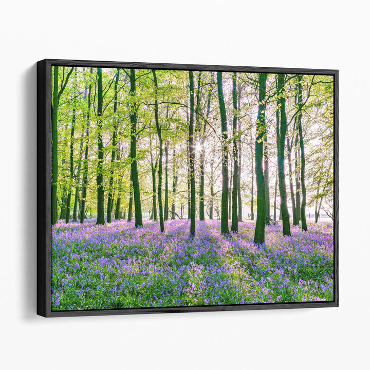 Bluebells Covering Forest Floor - Canvas Print Wall Art
