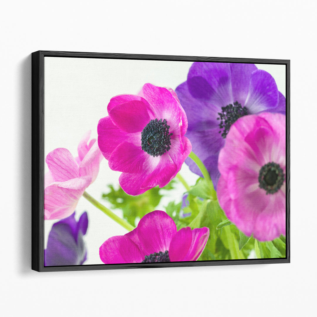 Bunch of Anemone Flowers - Canvas Print Wall Art