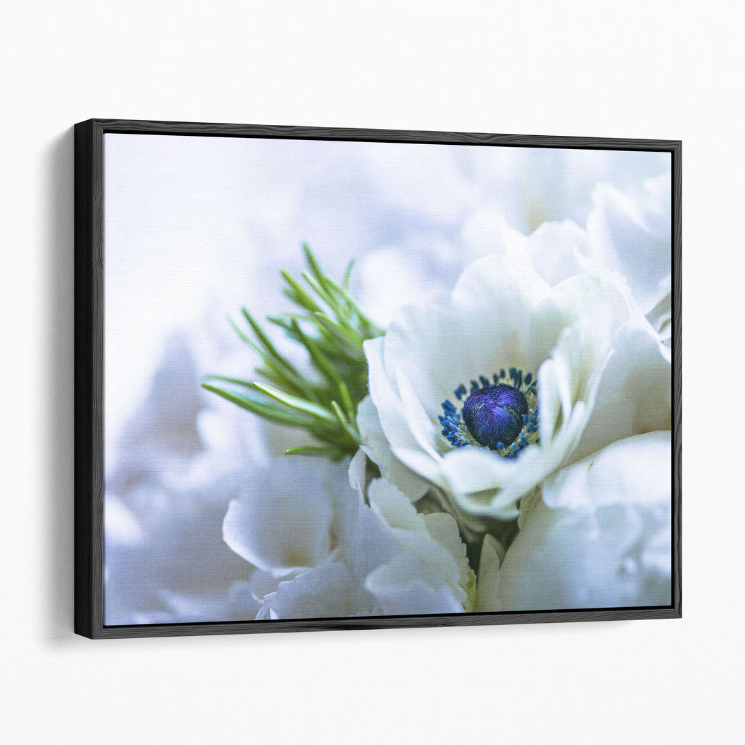Bunch Of Anemone Indoors - Canvas Print Wall Art