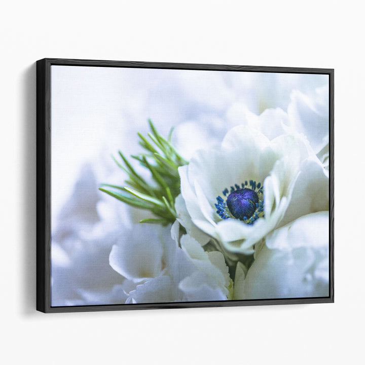 Bunch Of Anemone Indoors - Canvas Print Wall Art