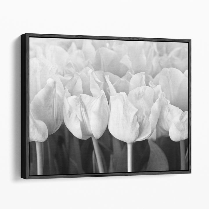 Bunch Of Tulips Close-up - Canvas Print Wall Art