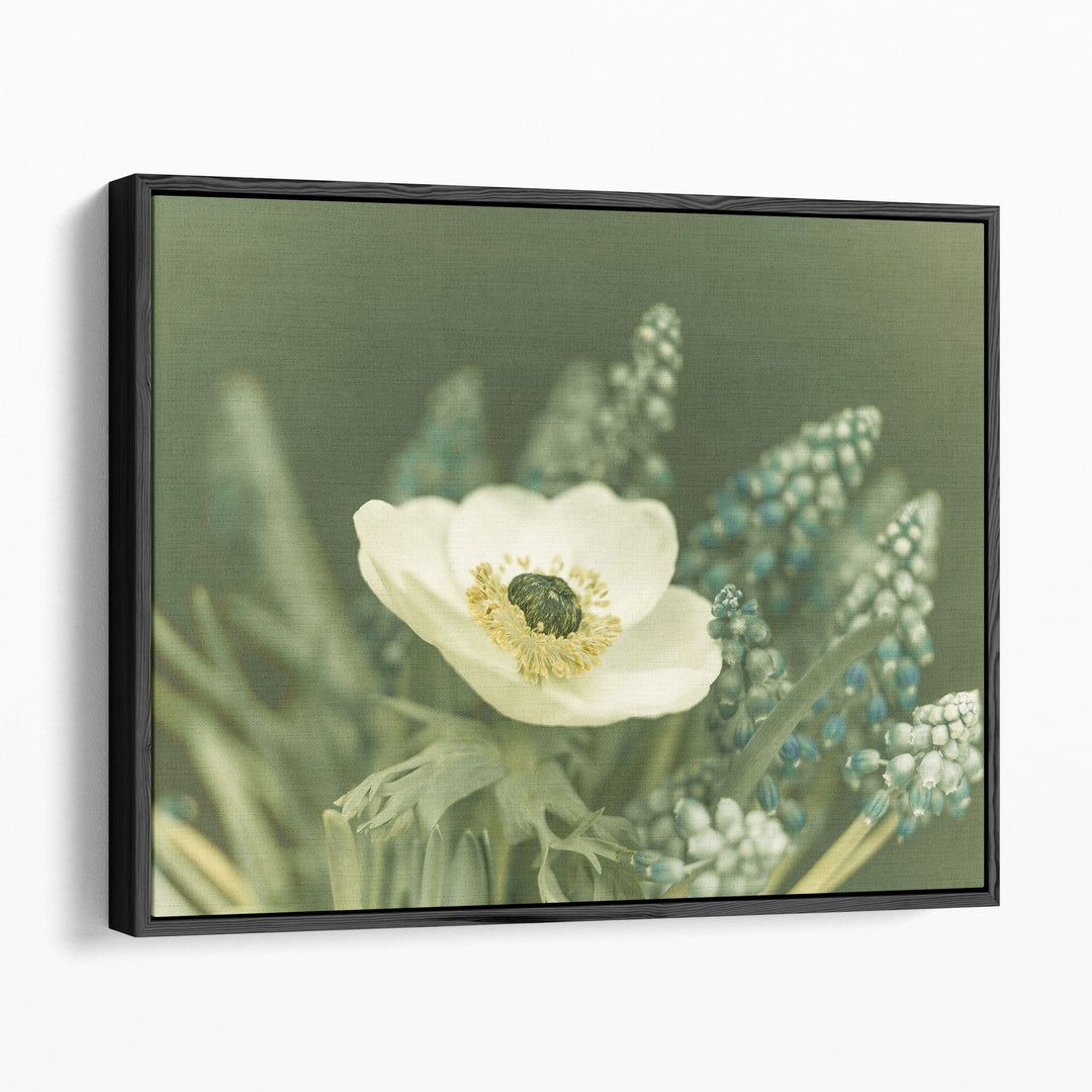Close-Up Of Anemone Flower - Canvas Print Wall Art