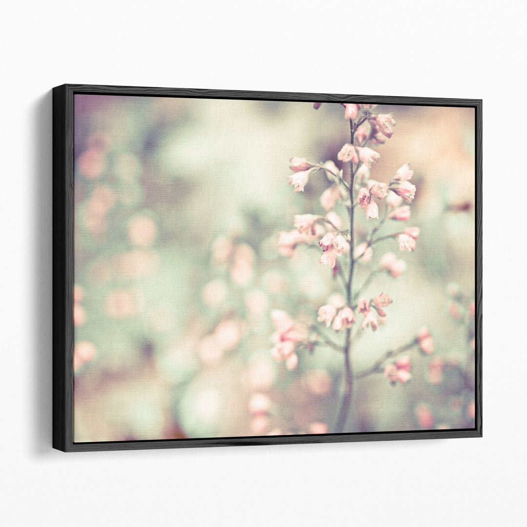 Flowering Heuchera - Canvas Print Wall Art