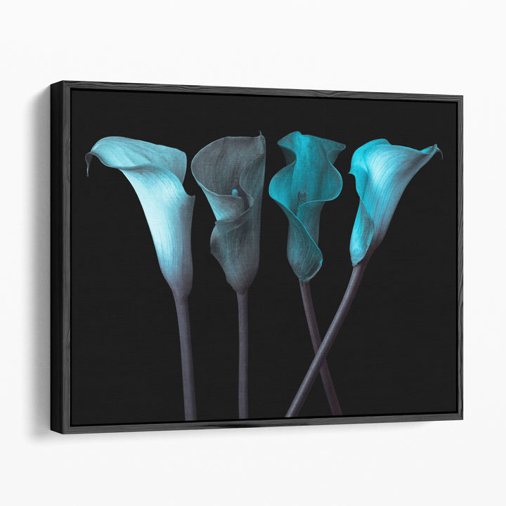 Four Calla Lilies 1 - Canvas Print Wall Art
