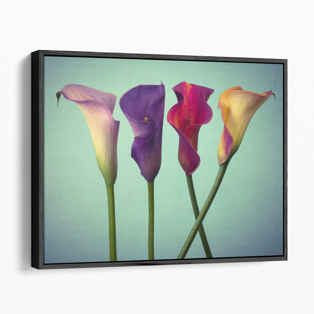 Four Calla Lilies 5 - Canvas Print Wall Art
