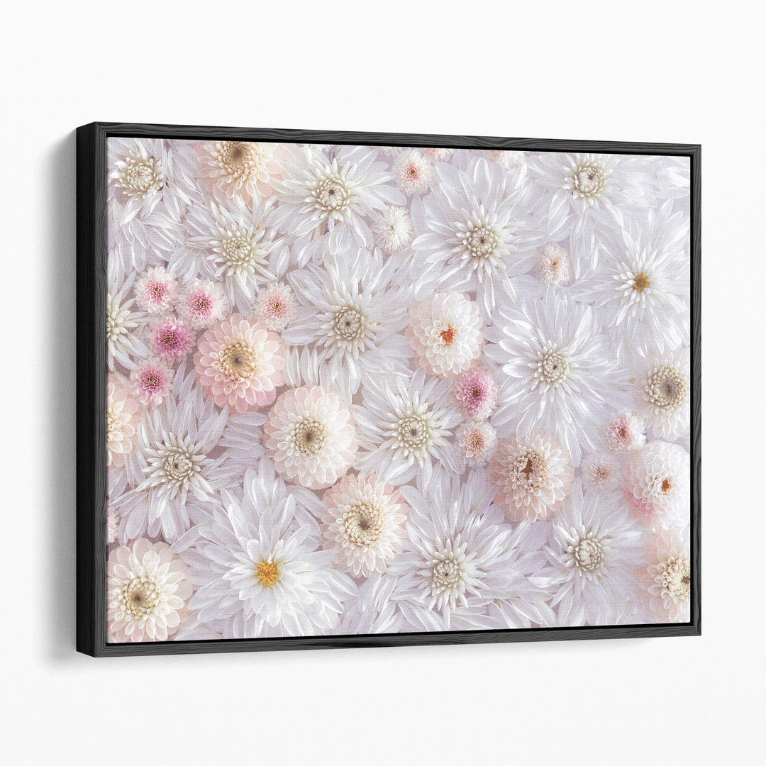 Full Frame Of Dahlia Flowers - Canvas Print Wall Art
