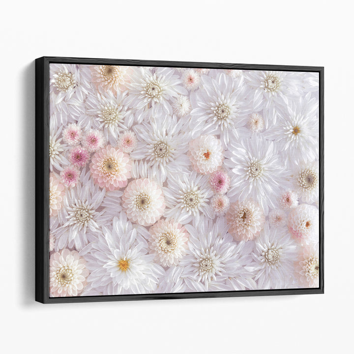 Full Frame Of Dahlia Flowers - Canvas Print Wall Art