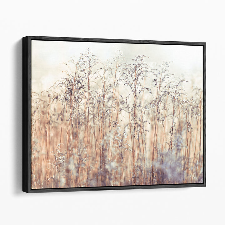 Grass Reeds - Canvas Print Wall Art