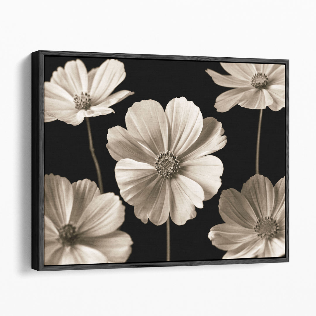 Cosmos Flowers - Canvas Print Wall Art