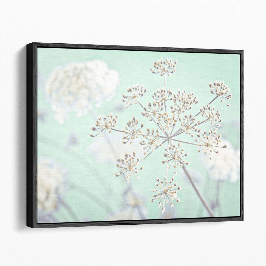 Cow Parsley Flowers 2 - Canvas Print Wall Art