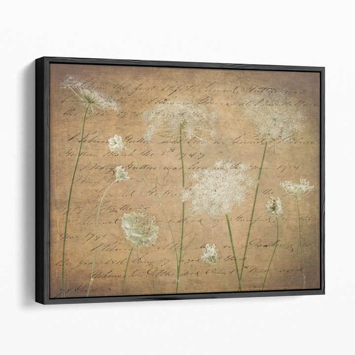 Cow Parsley Flowers 4 - Canvas Print Wall Art