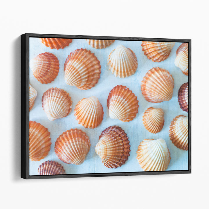 Mass Of Sea Shells - Canvas Print Wall Art