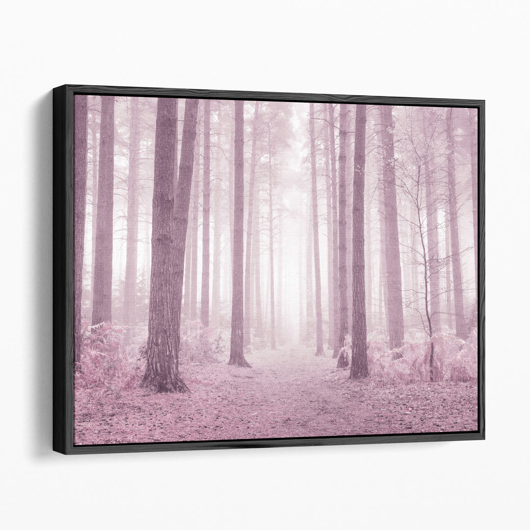 Scenic landscape photography prints in foggy forest