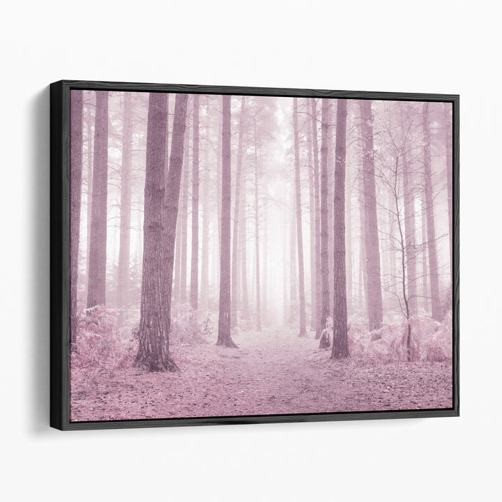 Scenic landscape photography prints in foggy forest