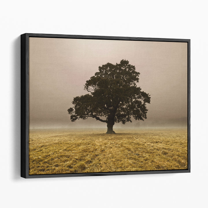Single Tree In Mist And Fog - Canvas Print Wall Art