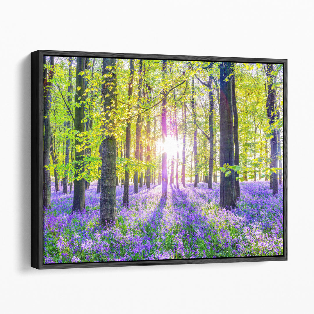 Bluebells Forest - Canvas Print Wall Art