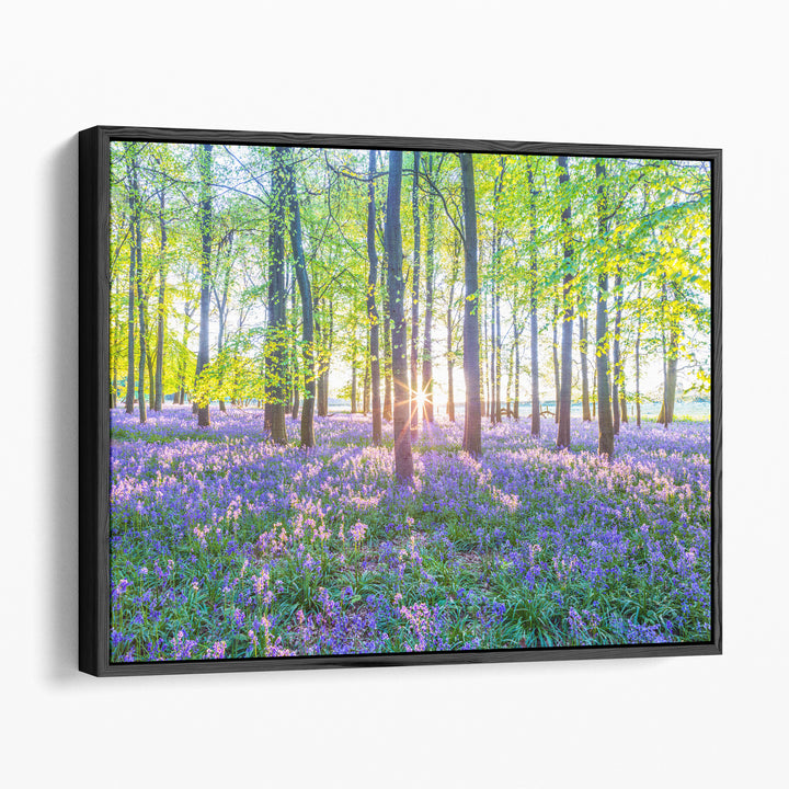 Bluebells I - Canvas Print Wall Art
