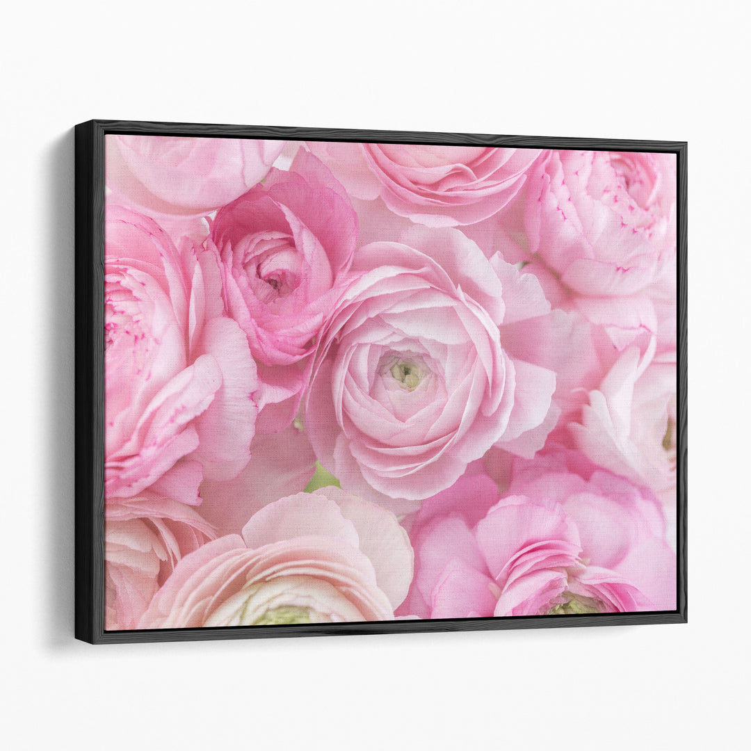 Bunch of Ranunculus - Canvas Print Wall Art
