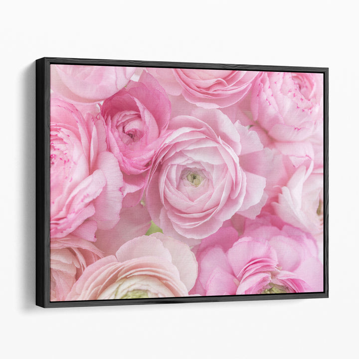 Bunch of Ranunculus - Canvas Print Wall Art
