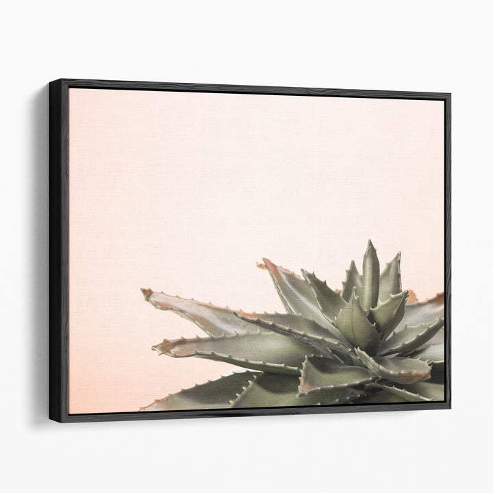 Cactus - Canvas Print Wall Art