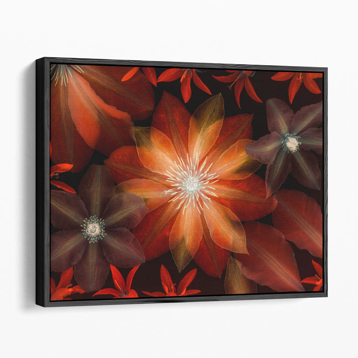 Clematis Flowers I - Canvas Print Wall Art