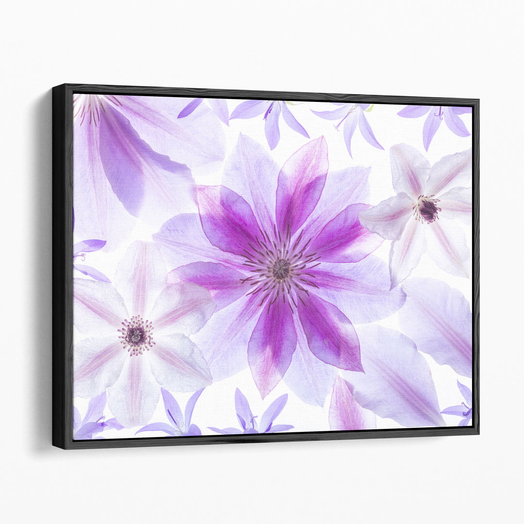 Clematis Flowers II - Canvas Print Wall Art
