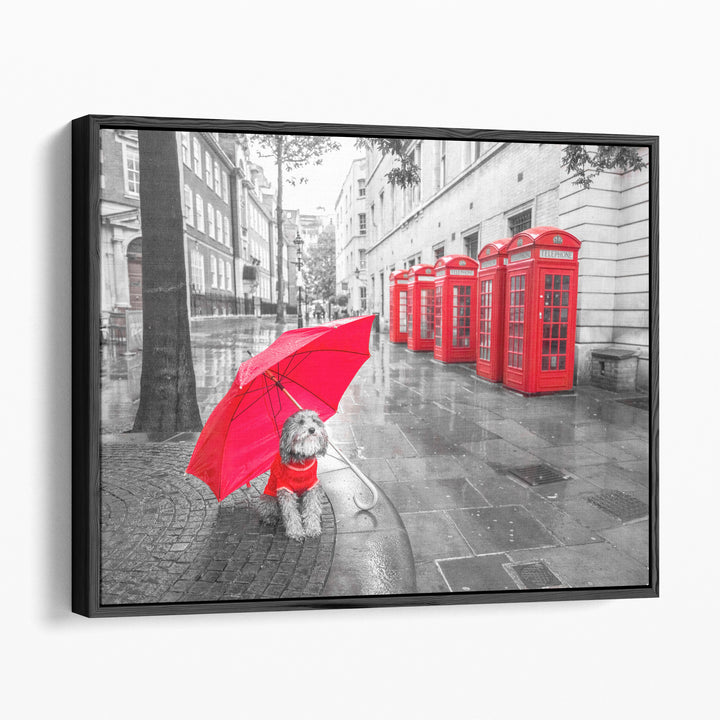 Dog with Umbrella in London - Canvas Print Wall Art