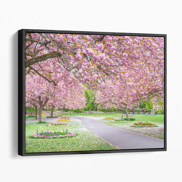 Blossom in the Park - Canvas Print Wall Art