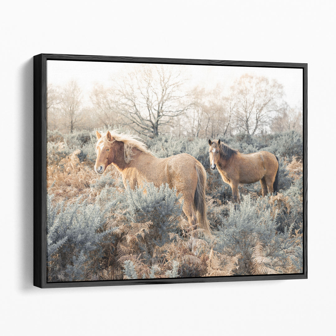 Horses in the Wild - Canvas Print Wall Art
