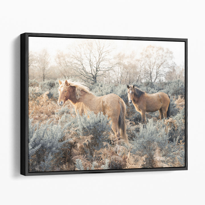 Horses in the Wild - Canvas Print Wall Art