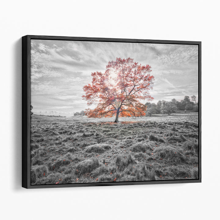 Black and white landscape photo prints of open field