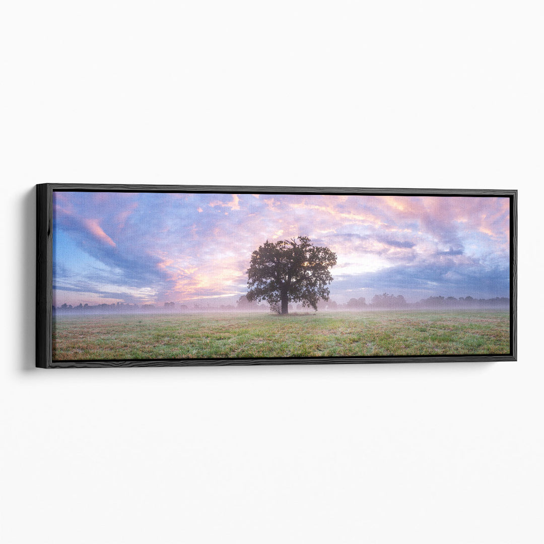 Field photography art prints with soft landscape