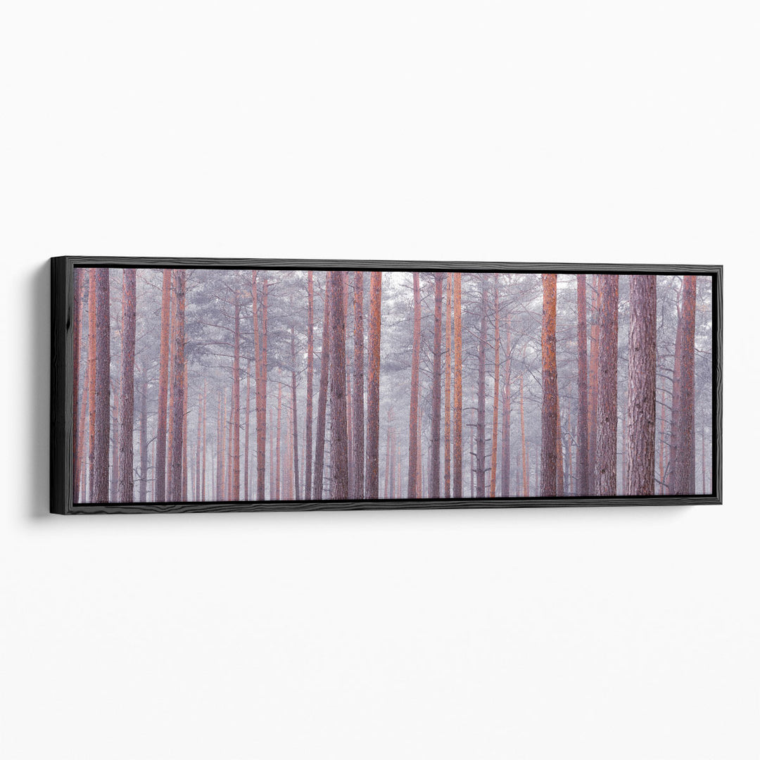 Tree Trunks - Canvas Print Wall Art