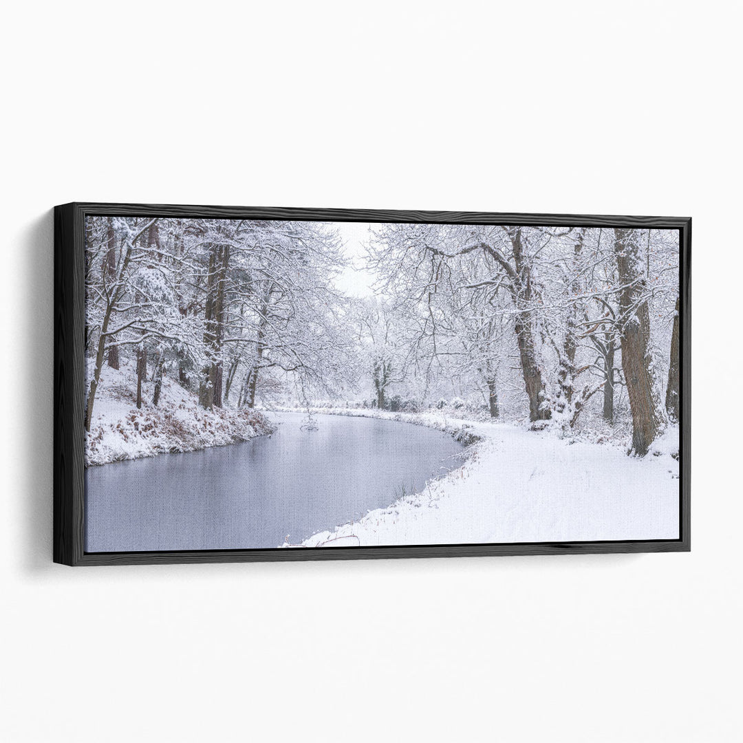 Winter photography prints with snow-covered trees