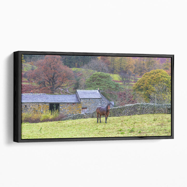 Countryside photography prints with brown horse