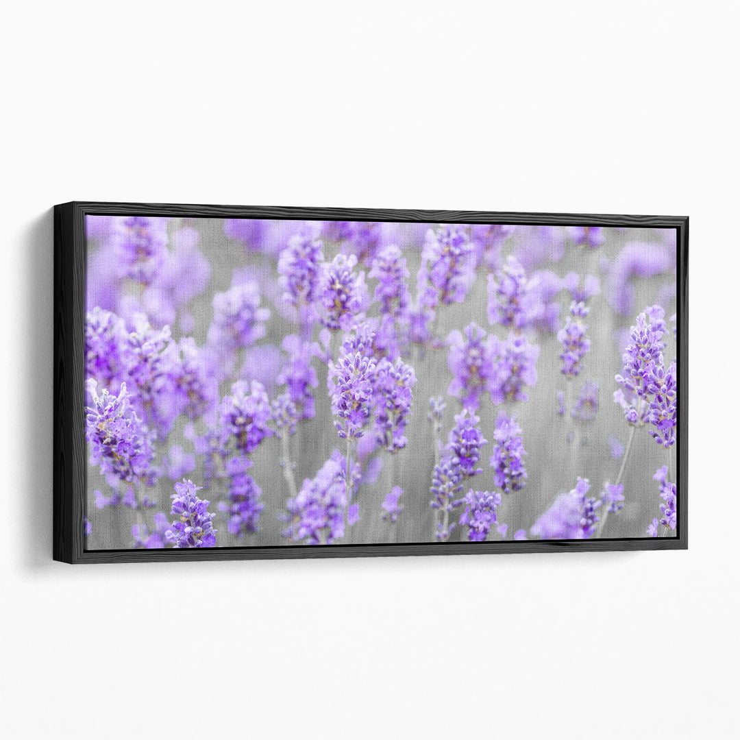 Lavender Farm - Canvas Print Wall Art