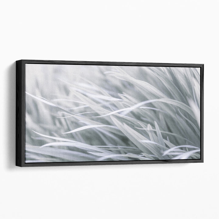 Leaves - Canvas Print Wall Art