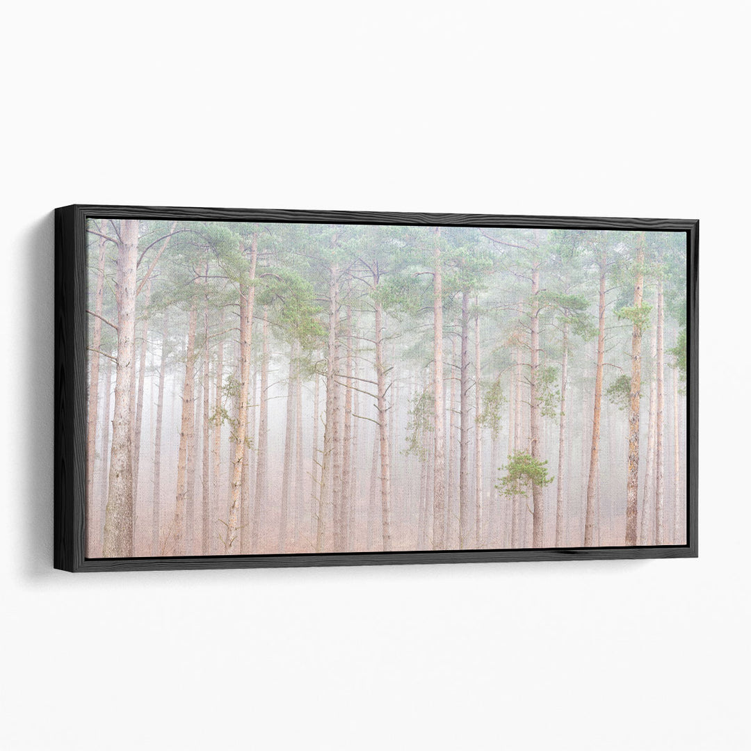 Misty Forest - Canvas Print Wall Art