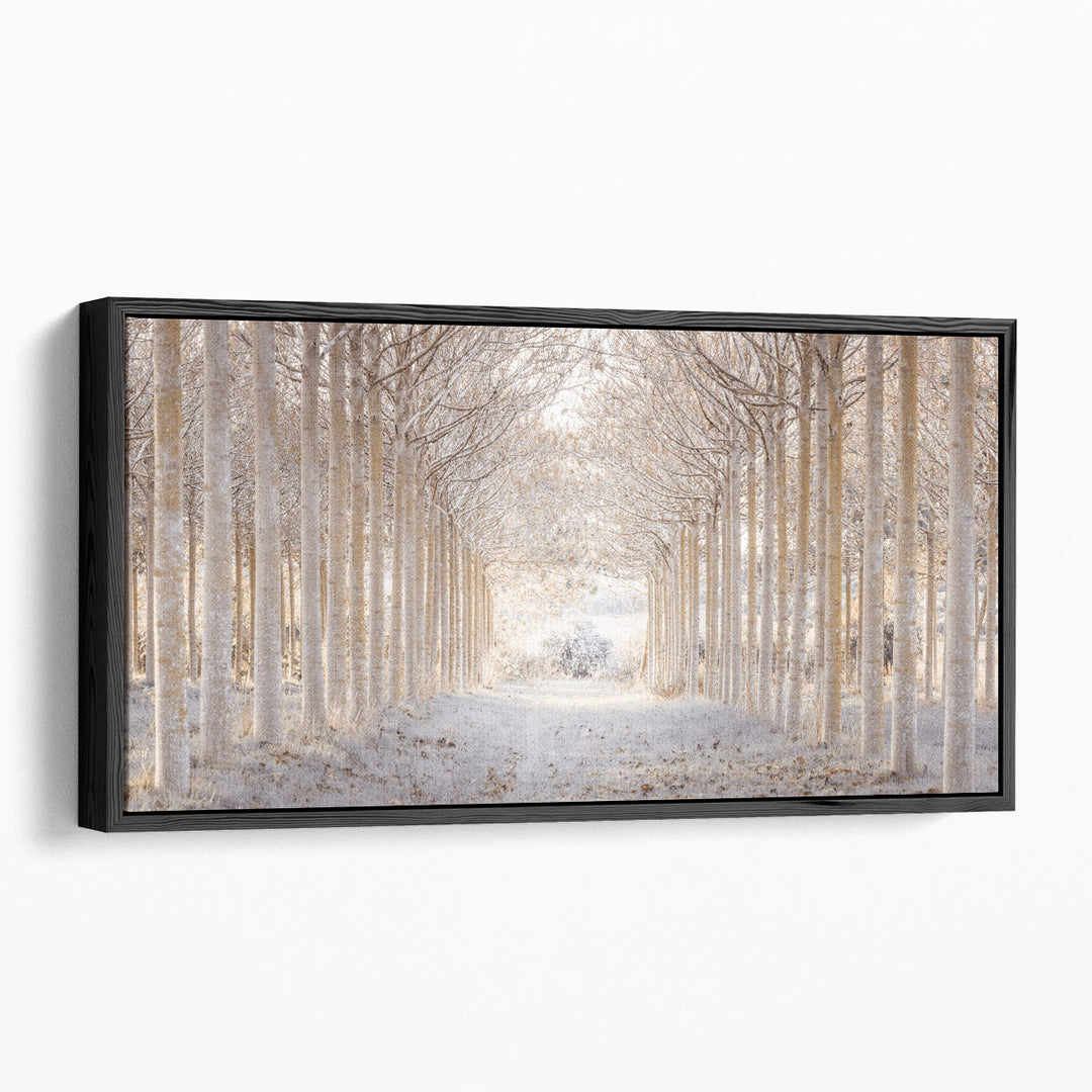 Pathway through Winter Forest - Canvas Print Wall Art