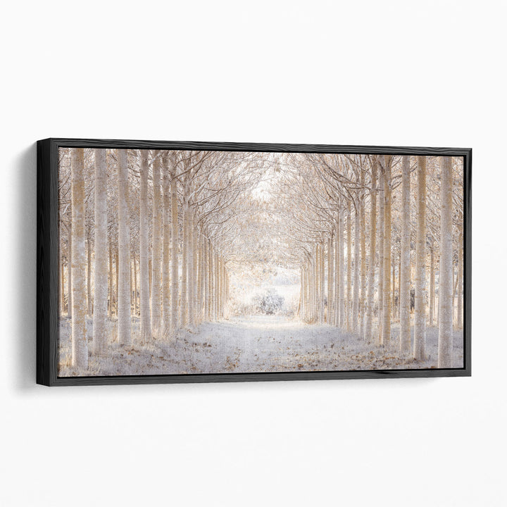Pathway through Winter Forest - Canvas Print Wall Art