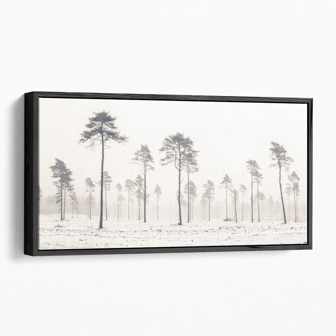 Snowy Forest in Winter - Canvas Print Wall Art