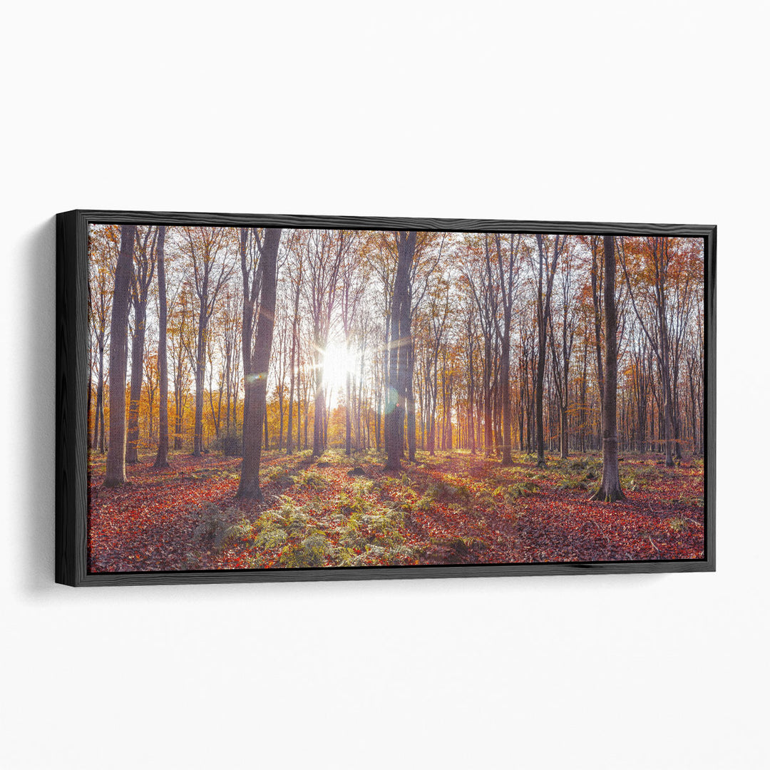 Landscape photography canvas of autumn forest